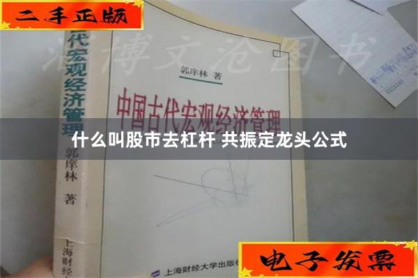 什么叫股市去杠杆 共振定龙头公式