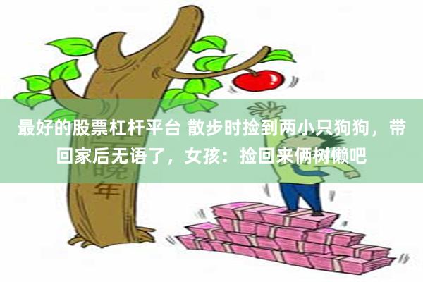 最好的股票杠杆平台 散步时捡到两小只狗狗，带回家后无语了，女孩：捡回来俩树懒吧