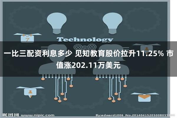 一比三配资利息多少 见知教育股价拉升11.25% 市值涨202.11万美元