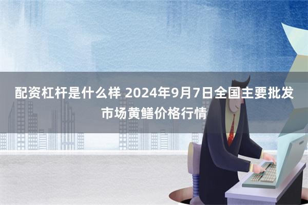 配资杠杆是什么样 2024年9月7日全国主要批发市场黄鳝价格行情