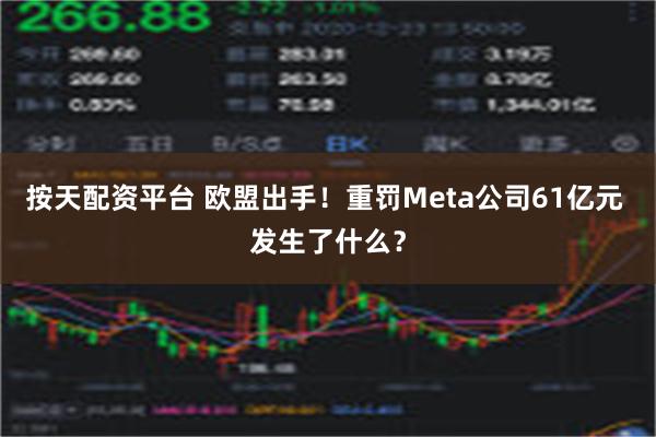 按天配资平台 欧盟出手！重罚Meta公司61亿元 发生了什么？