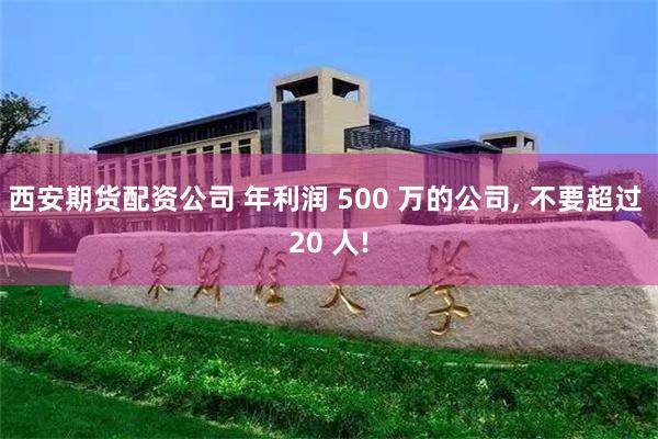 西安期货配资公司 年利润 500 万的公司, 不要超过 20 人!