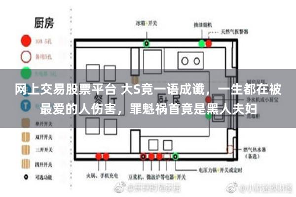 网上交易股票平台 大S竟一语成谶，一生都在被最爱的人伤害，罪魁祸首竟是黑人夫妇